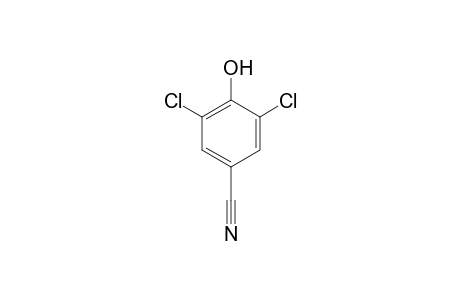 3,5-Dichloro-4-hydroxybenzonitrile