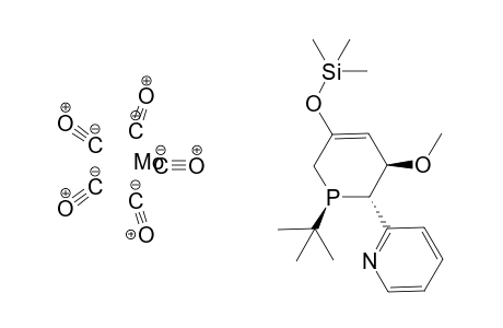 Pentacarbonyl-[1-(t-butyl)-6-(2'-pyridyl)-5-methoxy-3-(trimethylsilyloxy)-1-phosphacyclohex-3-ene]-molybdenium