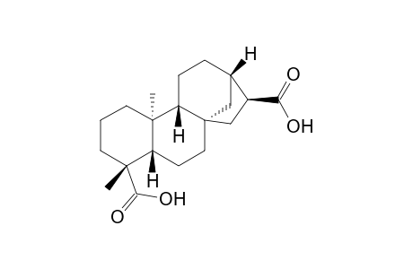 16alpha-Hydro-ent-kauran-17,19-dioic acid