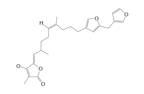 IRCININ-2