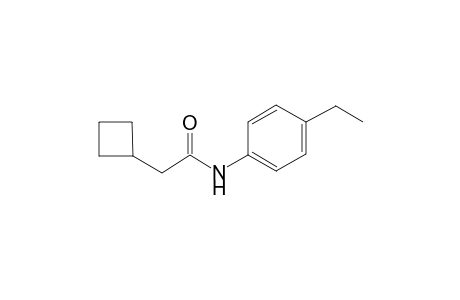 2-Cyclobutyl-N-(4-ethyl-phenyl)-acetamide