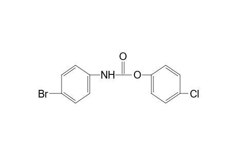 p-bromocarbanilic acid, p-chlorophenyl ester