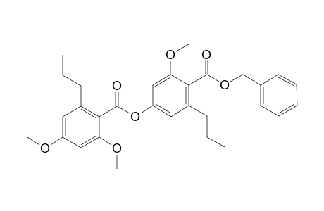 benzyl 2,2'-di-O-methyldivaricatate