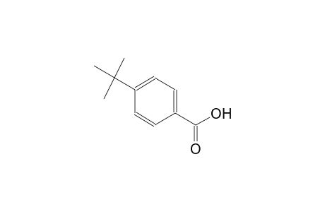 4-Tert-butylbenzoic acid