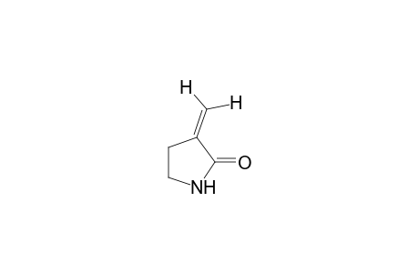 3-methylene-2-pyrrolidinone