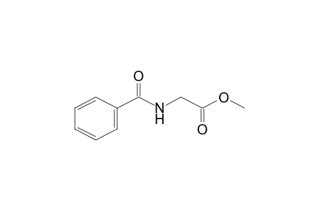 Hippuric acid methyl ester