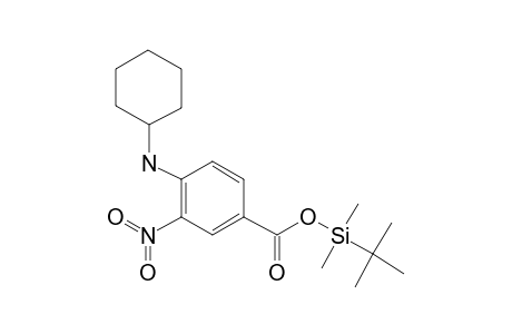 4-(Cyclohexylamino)-3-nitrobenzoic acid, tert-butyldimethylsilyl ester