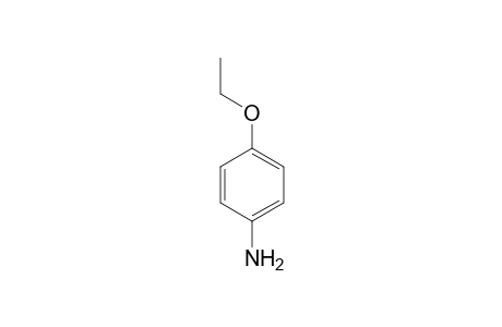 p-Phenetidine