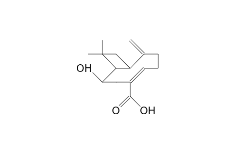 Lychnopholic acid