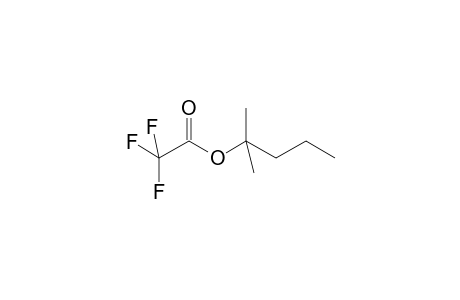 2-Methylpentan-2-yl trifluoroacetate