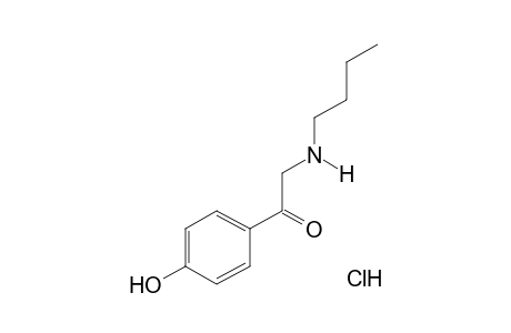 2-(butylamino)-4'-hydroxyacetophenone, hydrochloride