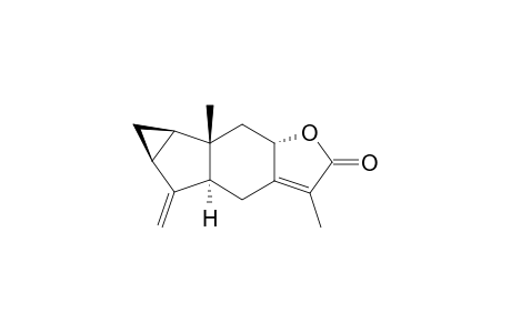 SHIZUKANOLIDE