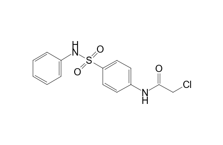 2-chloro-4'-(phenylsulfamoyl)acetanilide