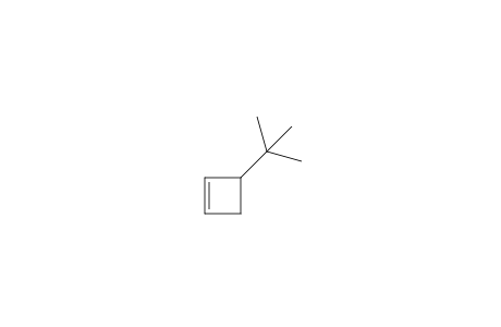 3-Tert-butylcyclobutene