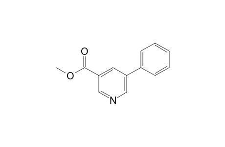 Methyl 5-Phenylnicotinate