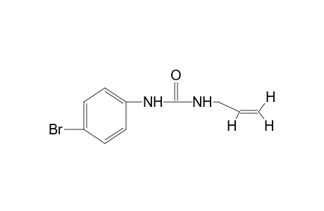 1-allyl-3-(p-bromophenyl)urea