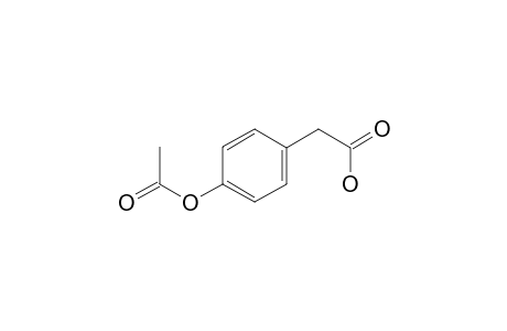4-Hydroxyphenylacetic acid AC     @