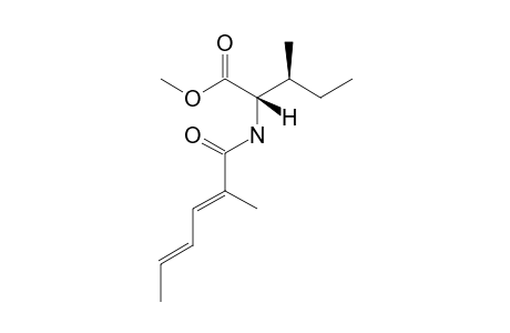 (2S,3S)-3-METHYL-2-[(2'E,4'E)-2'-METHYLHEXA-2',4'-DIENOYLAMINO]-PENTANOIC-ACID-ETHYLESTER