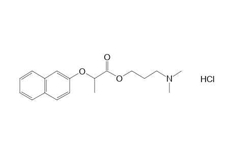 2-[(2-naphthyl)oxy]propionic acid, 3-(dimethylamino)propyl ester, hydrochloride