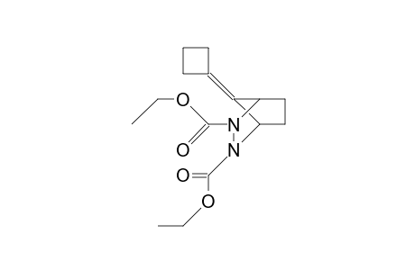 2,3-Dicarboethoxy-7-cyclobutylidene-2,3-diaza-bicyclo(2.2.1)heptane