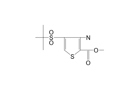 3-amino-4-(tert-butylsulfonyl)-2-thiophenecarboxylic acid, methyl ester