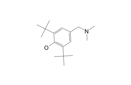 2,6-DI-tert-BUTYL-alpha-DIMETHYLAMINO-p-CRESOL