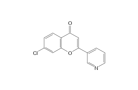 7-CHLORO-2-(3-PYRIDYL)CHROMONE