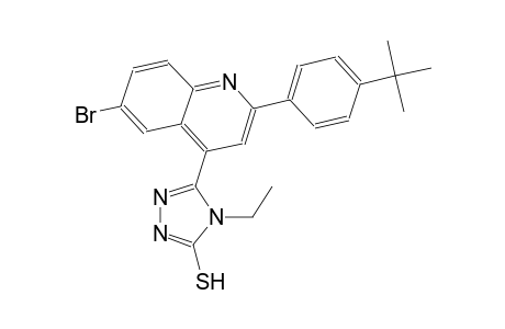 5-[6-bromo-2-(4-tert-butylphenyl)-4-quinolinyl]-4-ethyl-4H-1,2,4-triazole-3-thiol