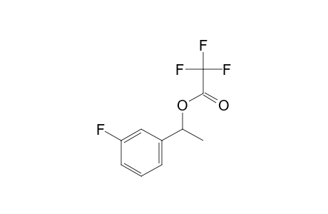 trifluoroacetic acid, m-fluoro-alpha-methylbenzyl ester