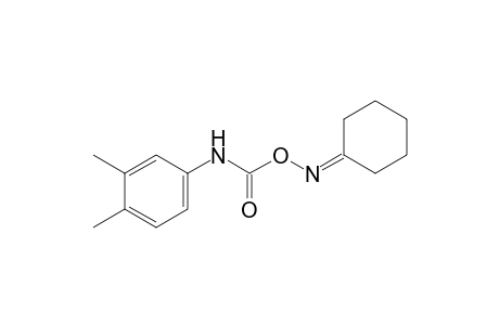 cyclohexanone, O-[(3,4-xylyl)carbamoyl]oxime