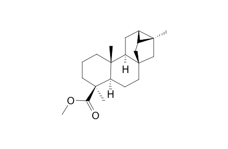 Methyl trachylobanate