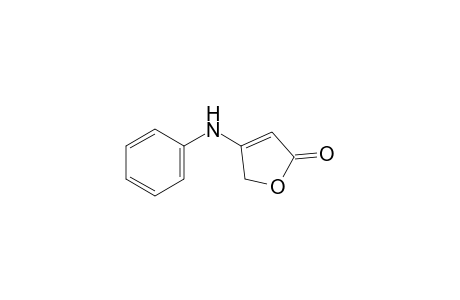 4-anilino-2(5H)-furanone