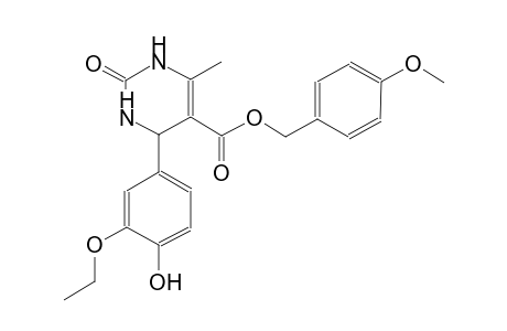 5-Pyrimidinecarboxylic acid, 4-(3-ethoxy-4-hydroxyphenyl)-1,2,3,4-tetrahydro-6-methyl-2-oxo-, (4-methoxyphenyl)methyl ester