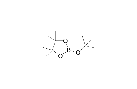 2-tert-butoxy-4,4,5,5-tetramethyl-1,3,2-dioxaborolane