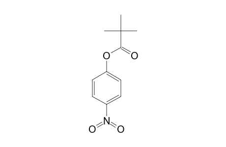 pivalic acid, p-nitrophenyl ester