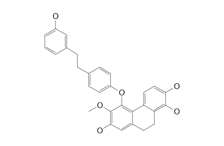 2'-(11-HYDROXY-1-BIBENZYLOXY)-1'-METHOXY-6',10',11'-TRIHYDROXY-7',8'-DIHYDRO-PHENANTHRENE