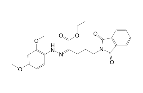 ethyl (2Z)-2-[(2,4-dimethoxyphenyl)hydrazono]-5-(1,3-dioxo-1,3-dihydro-2H-isoindol-2-yl)pentanoate