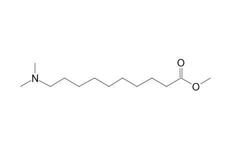 10-Aminodecanoic acid, N,N,o-tris-methyl