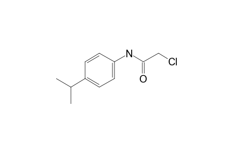 N1-(4-Isopropylphenyl)-2-chloroacetamide