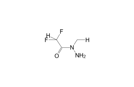 (E)-N-METHYL-N-DIFLUOROACETYLHYDRAZINE