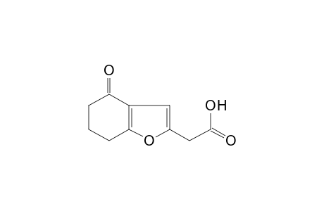 4-oxo-4,5,6,7-tetrahydro-2-benzofuranacetic acid