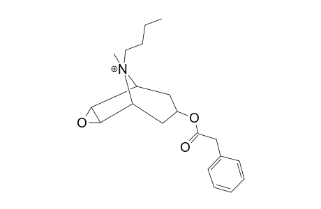 Butylscopolamine-M (330) MS2