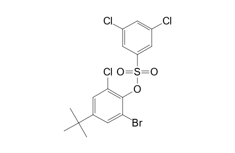 2-bromo-4-tert-butyl-6-chlorophenol, 3,5-dichlorobenzenesulfonate