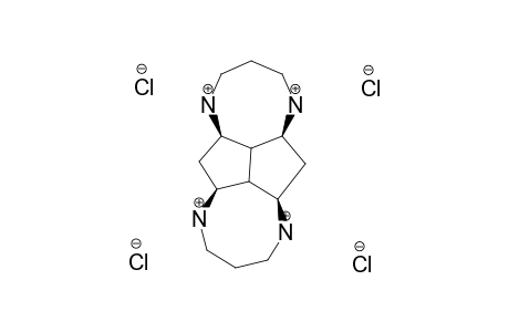 2,6,10,14-TETRAAZATETRACYCLO-[13.2.1.0(7,17).0(9,16)]-OCTADECANE-HYDROCHLORIDE