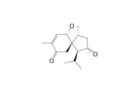 CALAMUSIN_E