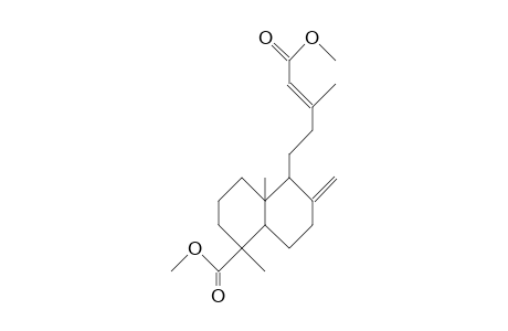 DIMETHYLAGATHAT