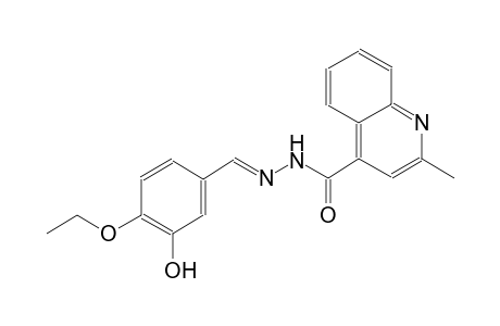 N'-[(E)-(4-ethoxy-3-hydroxyphenyl)methylidene]-2-methyl-4-quinolinecarbohydrazide