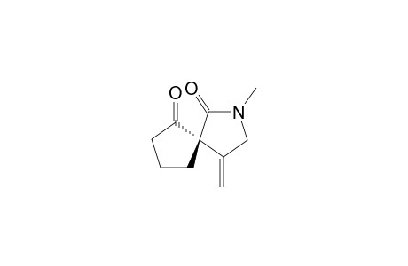 2-Methyl-4-methylene-2-azaspiro[4.4]nonane-1,6-dione
