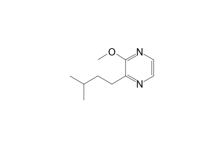 2-METHOHY-3-(3-METHYLBUTYL)-PYRAZINE