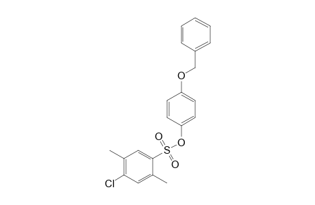 4-chloro-2,5-xylenesulfonic acid, p-(benzyloxy)phenyl ester